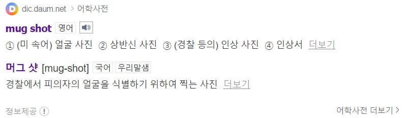 머그샷 뜻