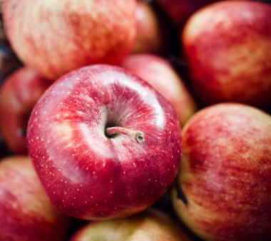 농작물 재해보험: 가입 조건부터 신청