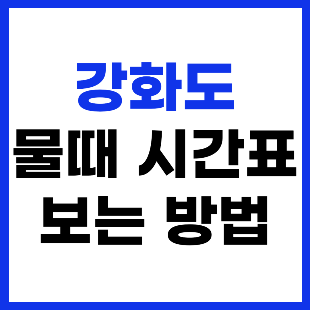 강화도 물때 시간표 보는 방법 갯벌체험 해루질 낚시
