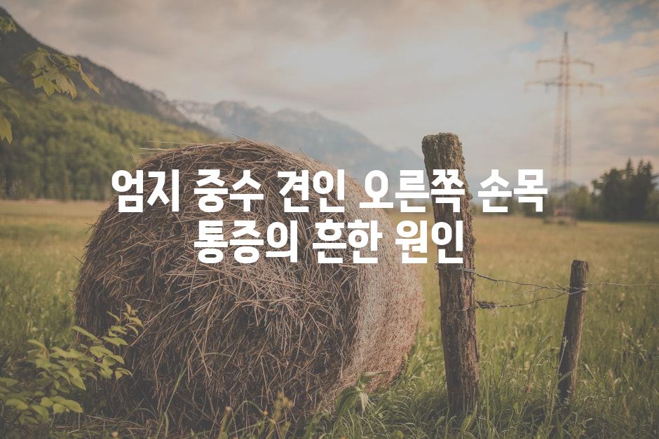 엄지 중수 견인 오른쪽 손목 통증의 흔한 원인