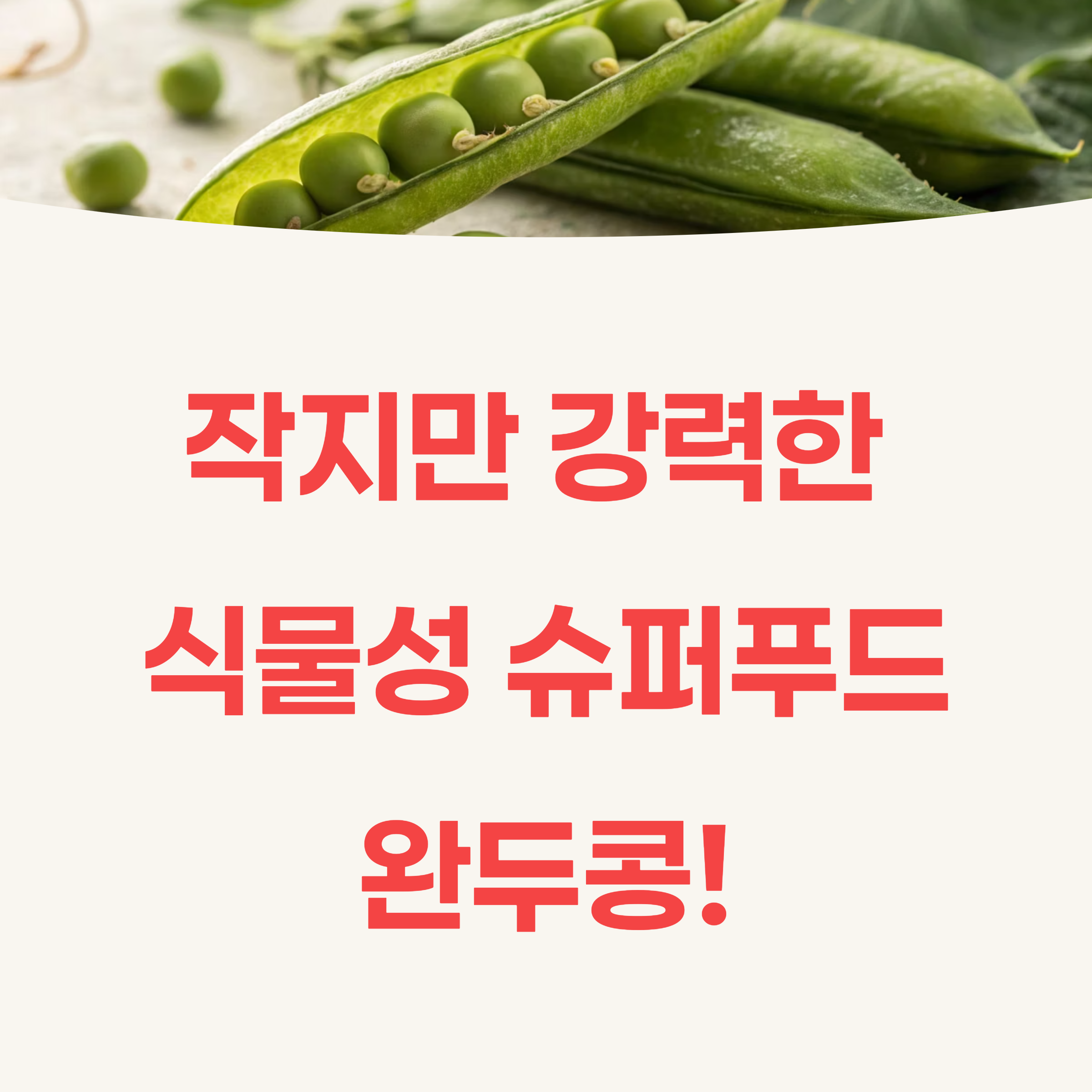 완두콩의 건강 효과와 칼로리, 작지만 강력한 식물성 슈퍼푸드