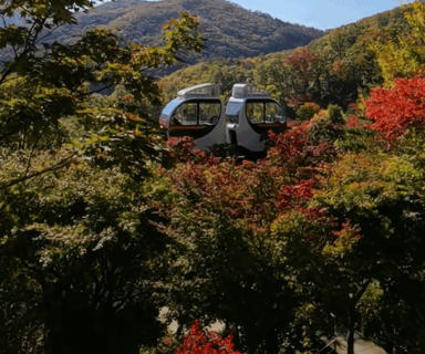 2024화담숲 가을단풍축제