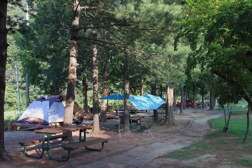 대전 상소오토캠핑장 소개