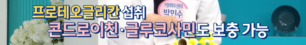 프로테오글리칸