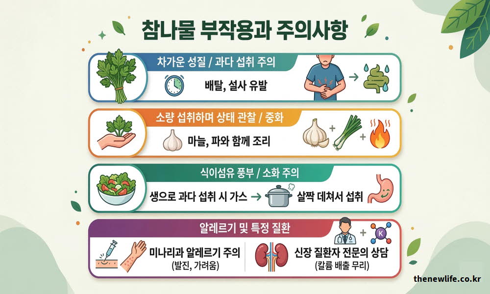 참나물 효능과 주의해야 할 부작용을 안내하는 이미지