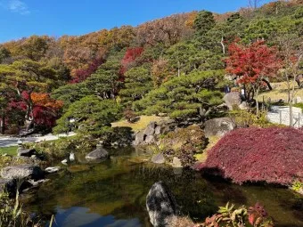 화담숲 예약하기 예약 방법 입장료 모노레일_10