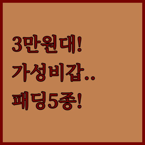 3만원대 경량 패딩부터 브랜드 숏 패..
