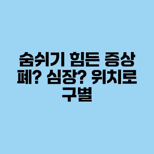 숨쉬기 힘든 증상 폐? 심장? 위치로 구별