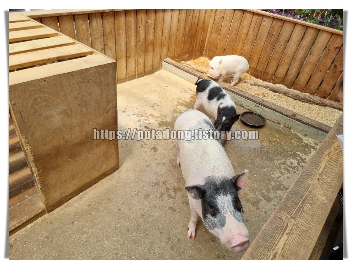 동천자연식물원