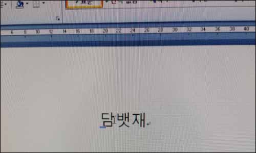 사진설명1