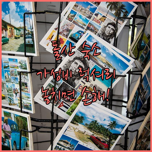 여수 돌산 펜션 5곳 완벽 비교 분석..