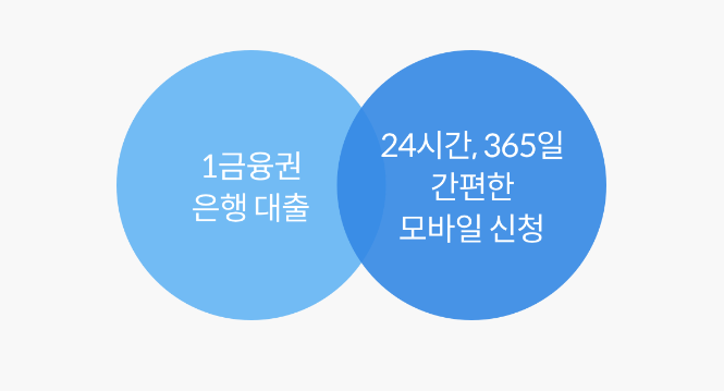 핀크 비상금대출