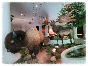 전곡선사박물관