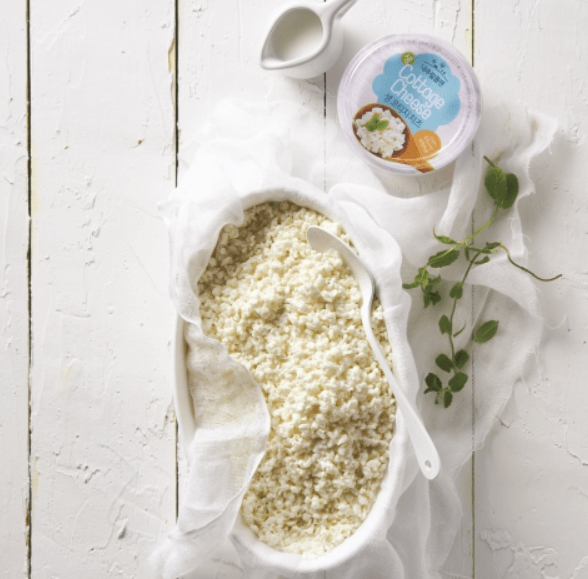 코티지 치즈 사진