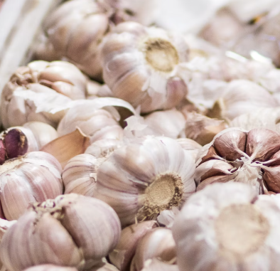 마늘 효능 효과 부작용 당뇨 혈관 건강