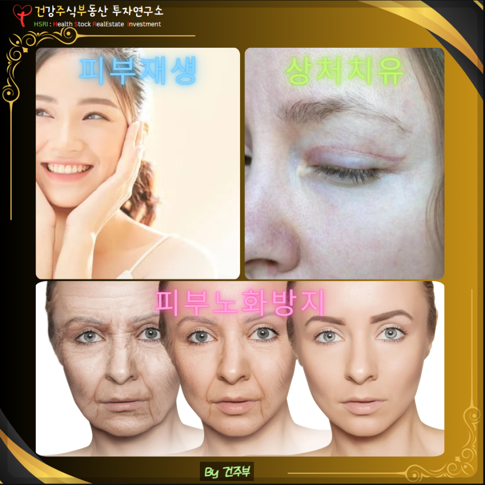 효능 : 피부재생, 상처치유, 피부노화방지
(글 그림 : 건주부, 그림 출처 : Canva)