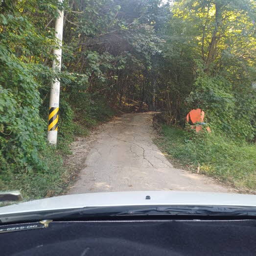 의왕 서현농원 추천테이블 이용 꿀팁! 준비물, 인근 시장 , 가격