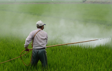 농약의 유형