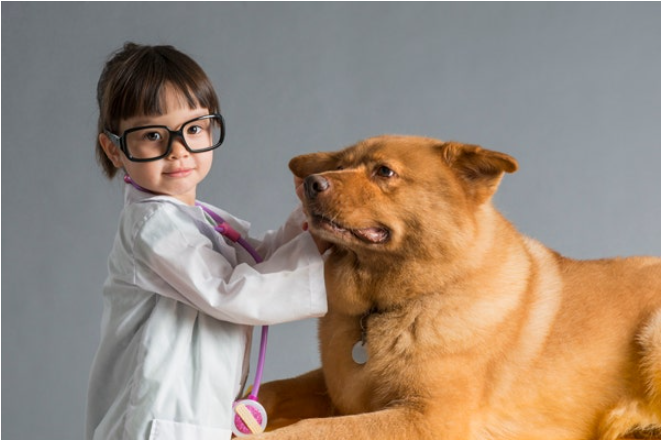 강아지 건강 체크
