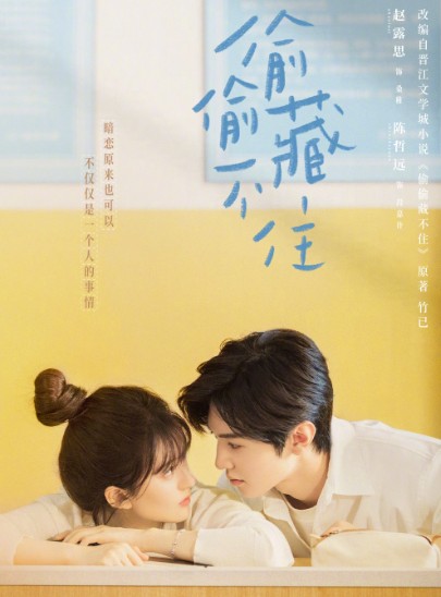 [중드 투투장부주 다시보기 추천] 결말 줄거리 등장인물 조로사 진철원 라운희, 원작 웹툰 소설, 넷플릭스