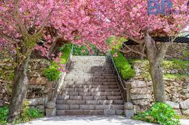 봄맞이 여행, 이제 슬슬 따뜻해지는데 어딜 가볼까요?