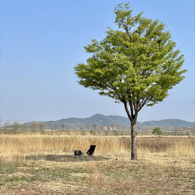 봄-햇살이-따뜻하며-나무그늘-밑에서-의자를-설치해본-모습