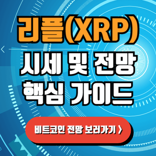 2025 리플 시세 전망