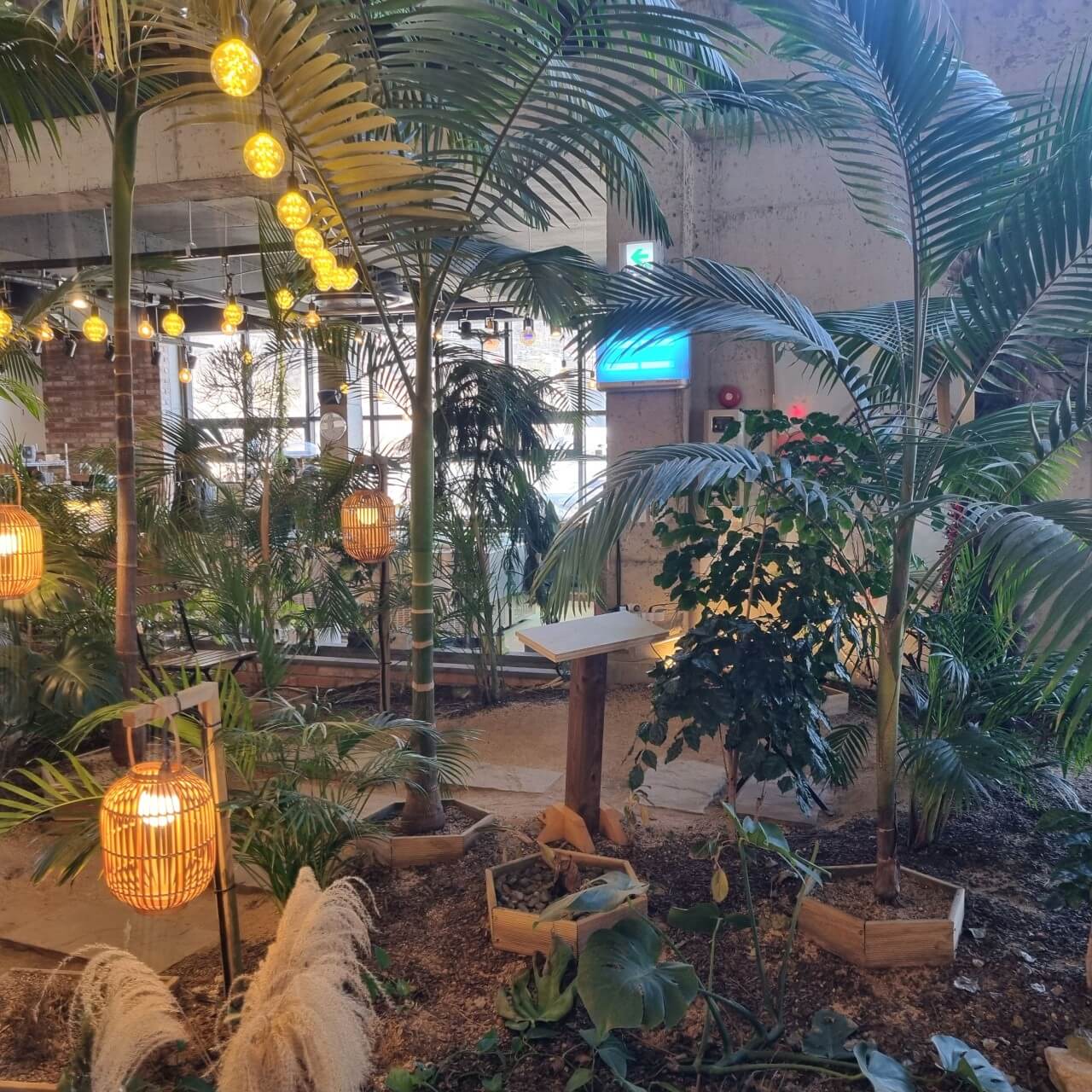 오늘N 커피 한잔할래요? 경북 경주시 식물원 분위기 카페 오베르 경주여행 갈만한 곳 오늘N 2501회