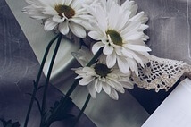 장 건강에 좋은 유산균