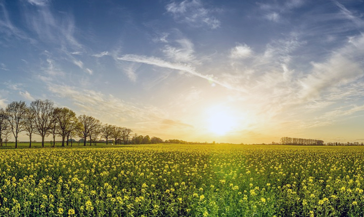 발바닥 껍질 벗겨짐 무좀 습진 한포진 원인 해결 표현이미지 설정이미지