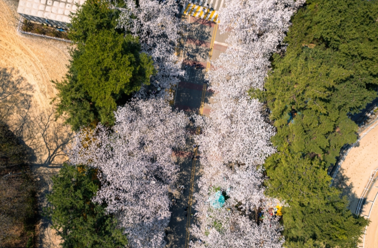 4월축제