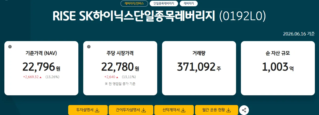 RISE SK하이닉스단일종목레버리지