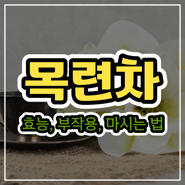 기관지에 좋은 목련차 효능, 부작용, 마시는 법