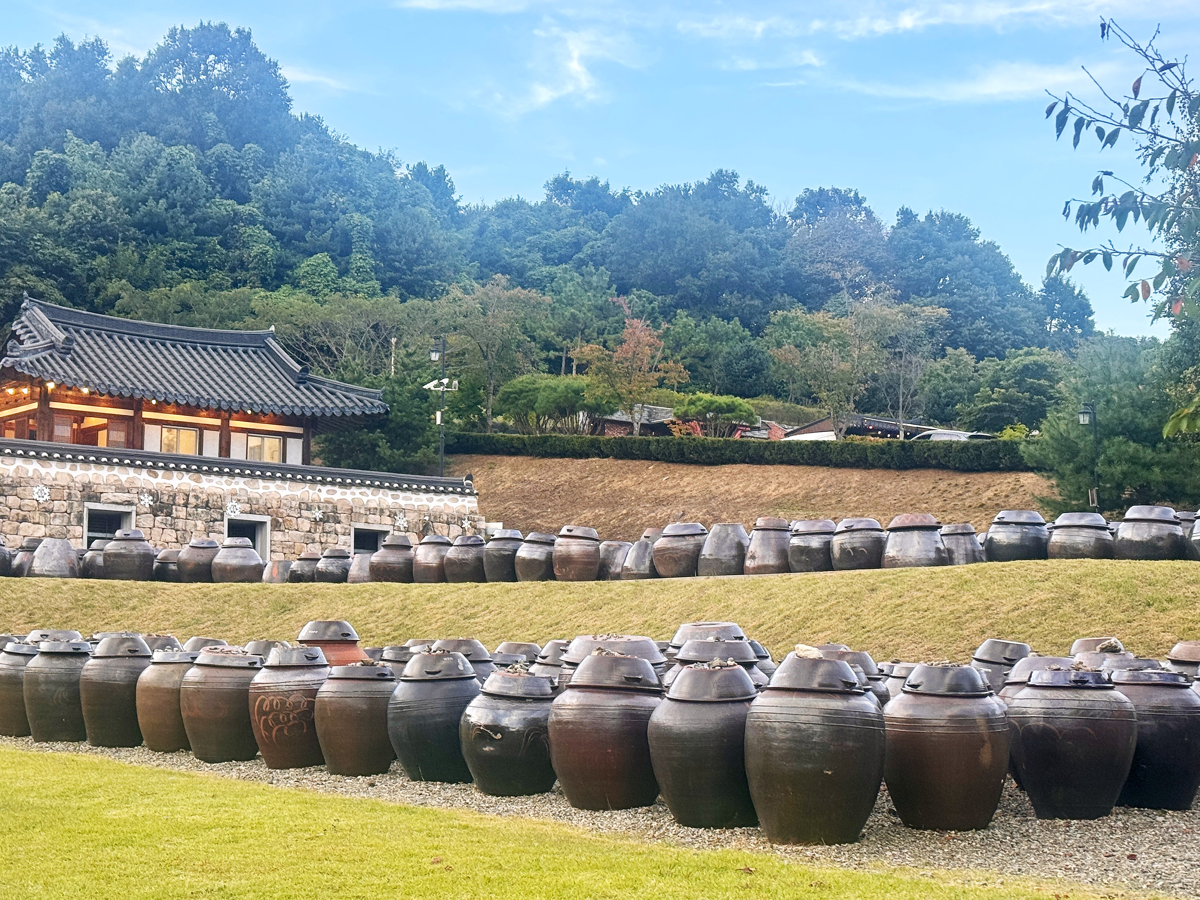 연천 세라비 한옥카페 잔디마당을 가득 채운 장독대와 한옥 풍경