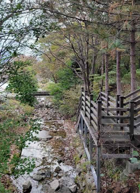 불정자연휴양림