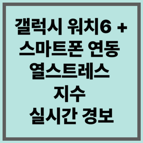 갤럭시 워치6 + 스마트폰 연동 열스트레스 지수 실시간 경보