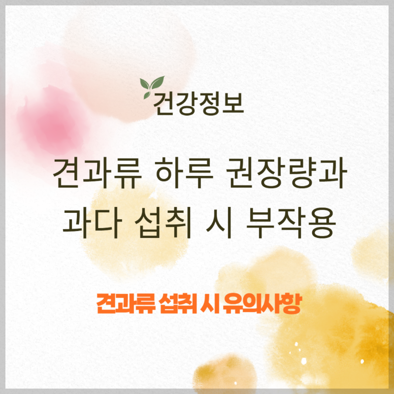 견과류 하루 권장량과 과다 섭취 시 부작용 썸네일