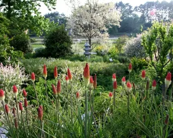 천리포수목원_4