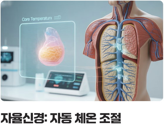 우리 몸의 똑똑한 에어컨, ‘자율신경’