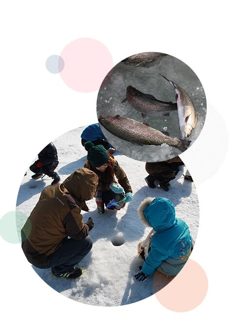 평창 송어축제 정보&#44; 놀이시설 및 온라인 예약&#44; 드디어 12월 30일부터 송어축제가 열립니다.