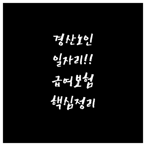 경산시 노인 일자리 유형별 활동 내용..