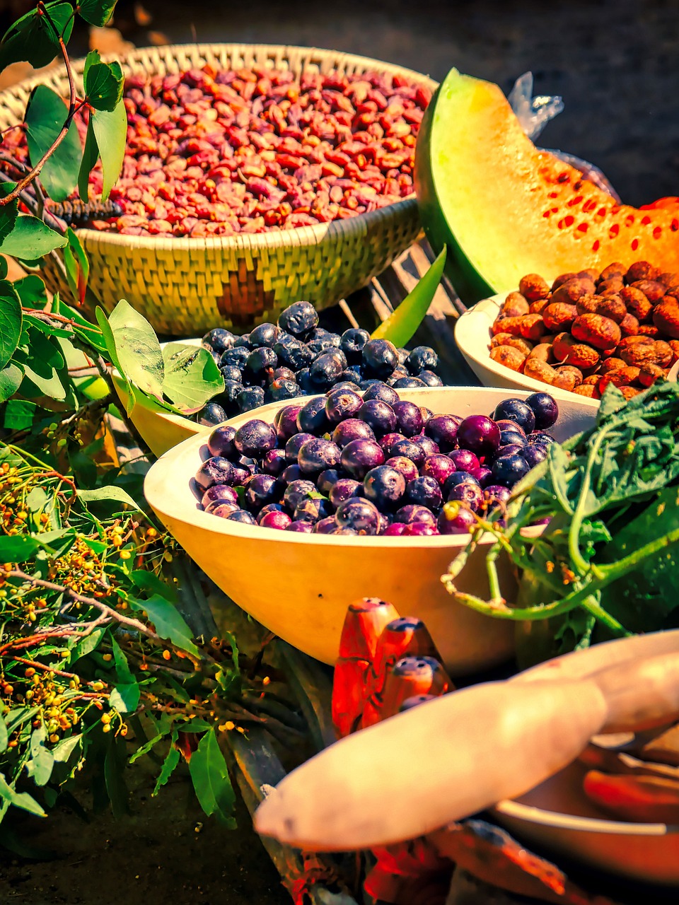 산지 식재료 사진