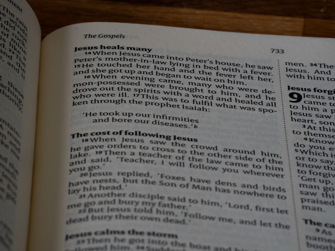 '패딩'을 영어로 번역하면 'padding'입니다.