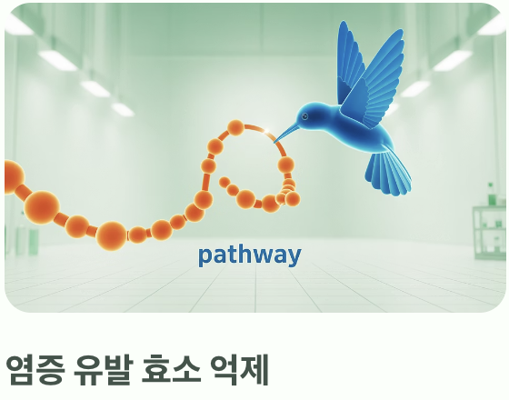 '염증'을 다스리는 조용한 해결사