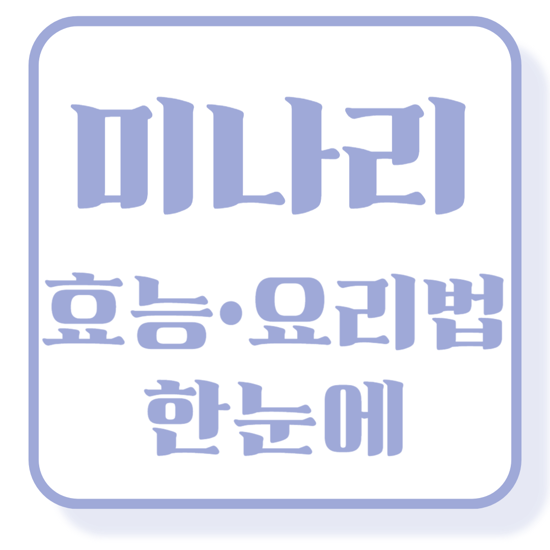 봄철 건강한 한 입, 향긋한 미나리의 모든 것