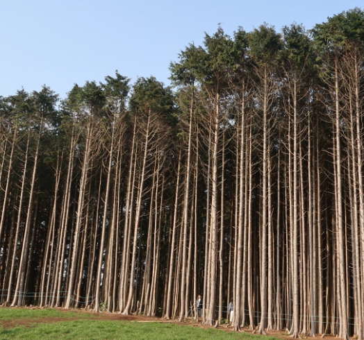 가을여행/11월/제주/감성/여행지