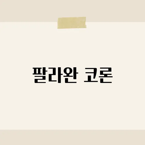 팔라완 코론, 비밀 비치 공개?
