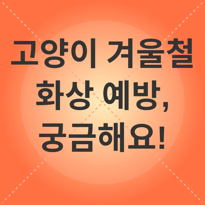 고양이 겨울철 화상 예방_4