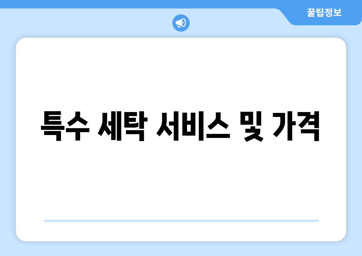특수 세탁 서비스 및 가격