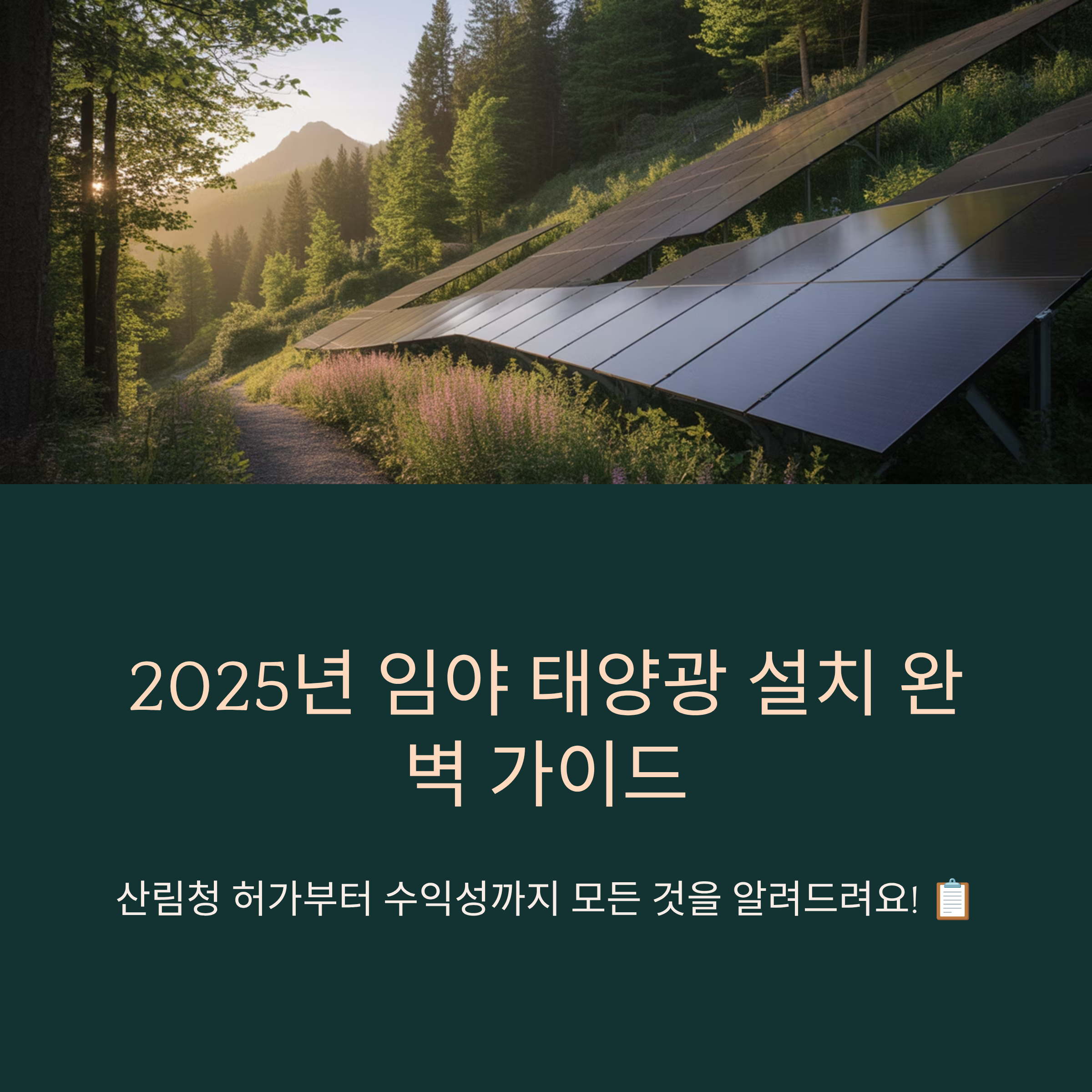 2025년 임야 태양광 설치와 산림청 허가 규정